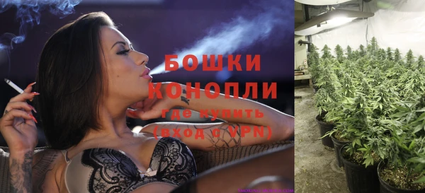 гашишное масло Михайлов