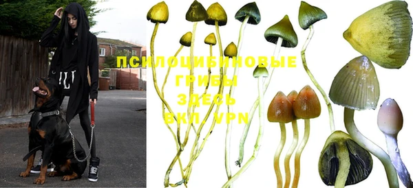 синтетический гашиш Михайловск