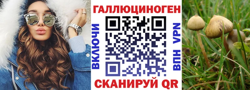 где найти Ревда Галлюциногенные грибы GOLDEN TEACHER