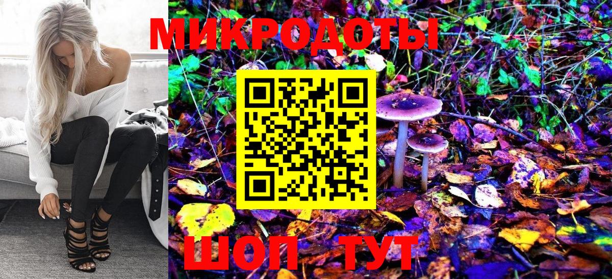 Псилоцибиновые грибы Psilocybine cubensis Ревда