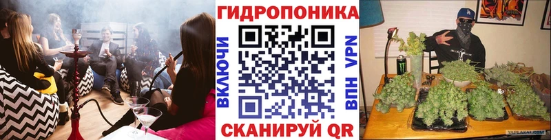 наркотики  Ревда  Шишки марихуана AK-47 